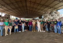 Rascunho automático