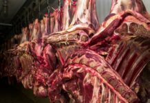 Restrição da China à carne bovina pode causar impacto de US$ 3 bilhões ao Brasil