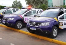 Perturbação do sossego lidera chamados da GCM em Lucas do Rio Verde; infratores fogem após direção perigosa