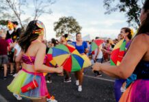 vibrant carnival celebration in brasilia streets