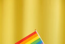 person holding pride flag