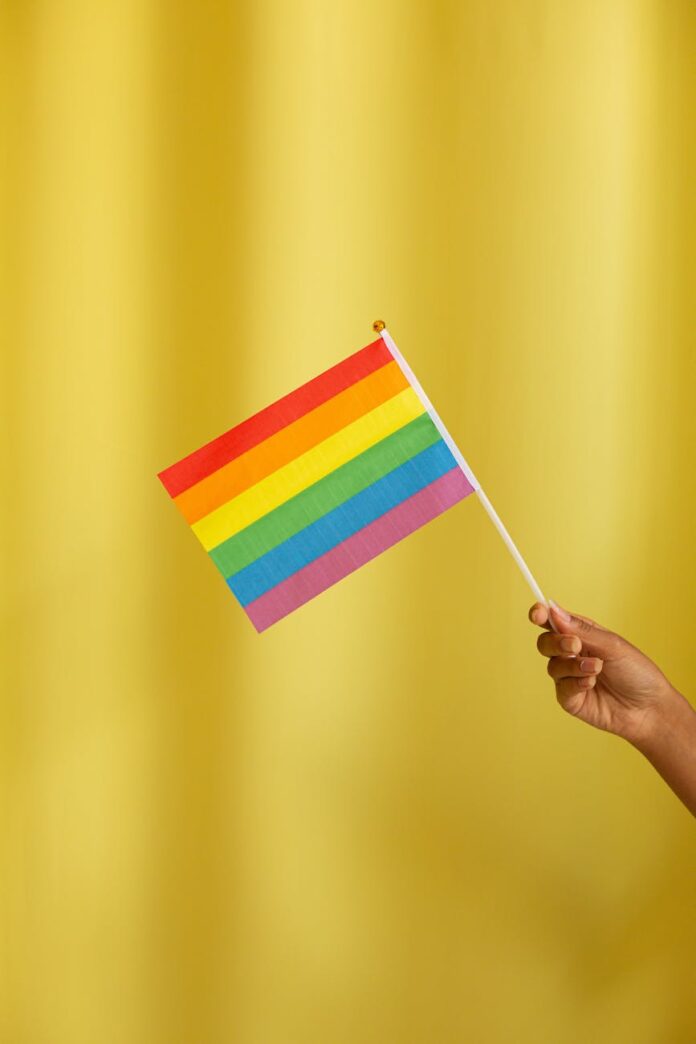 person holding pride flag