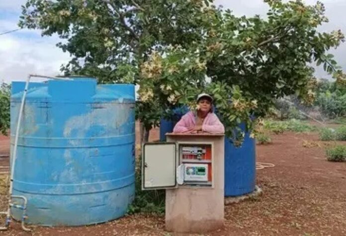 11 Microcrédito impulsiona autonomia financeira de mulheres no campo