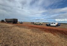 Polícia Militar localiza caminhão roubado com carga de soja em área rural de Diamantino