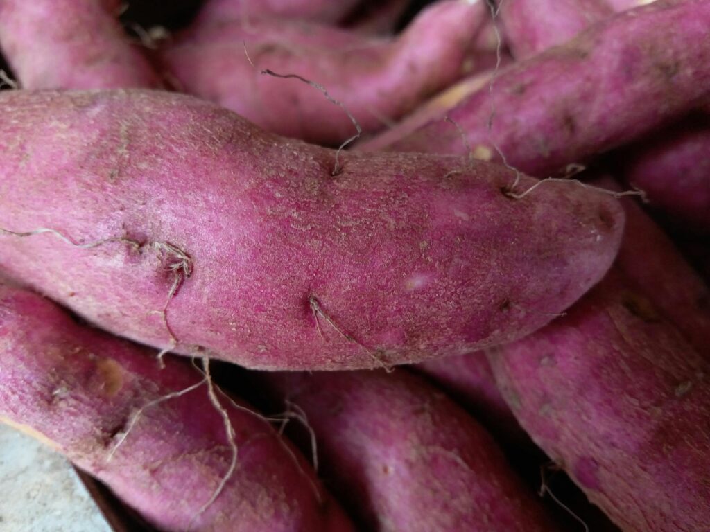 root vegetables in close up photography