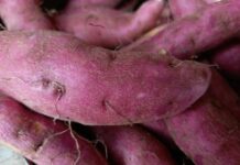 root vegetables in close up photography
