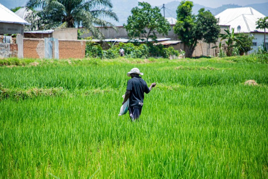 man working in plantation
