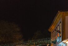 view of a crowded street in city at night during a festival