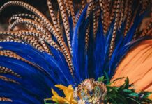 woman in colorful clothes for carnival