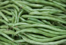 close up photo of raw green beans