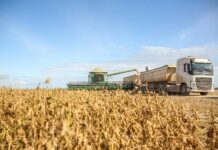 Exportações do agro brasileiro movimentaram quase US$ 10,8 bilhões no primeiro mês do ano soybean harvesting with combine and truck in brazil