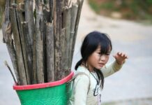 Casos de trabalho infantil aumentam no Carnaval; denúncias podem ser feitas ao Disque 100 young girl carrying bamboo in lao cai vietnam