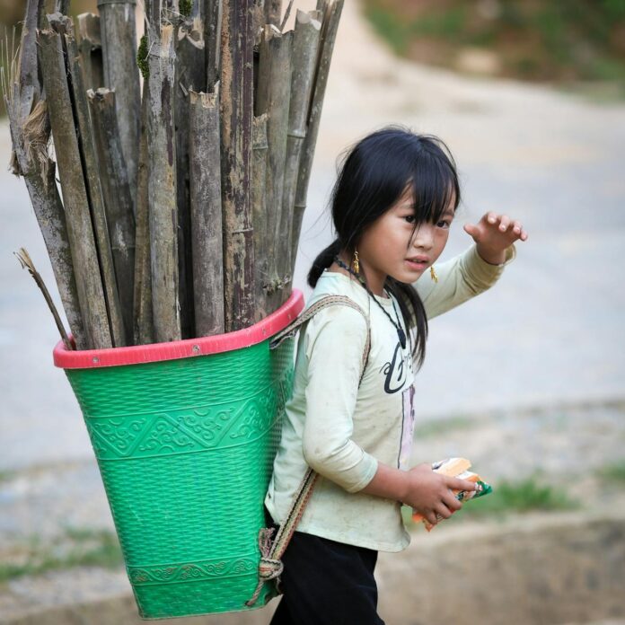 young girl carrying bamboo in lao cai vietnam