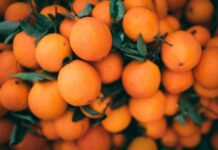 orange fruits on brown wooden table
