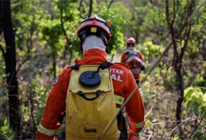 05 PÓS. Corpo de Bombeiros abre vagas para especialização em Gestão de Incêndios Florestais