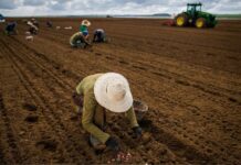 FPA articula para votar novas regras do Seguro Rural esta semana