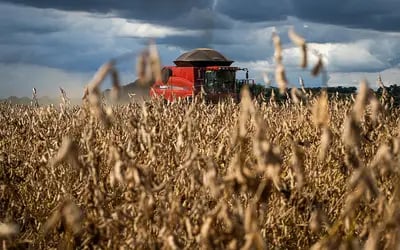 NZpaAton7YfxQB17sXsTY6Yc