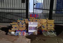 Ação integrada apreende 335 quilos de entorpecentes e prende quatro suspeitos por tráfico