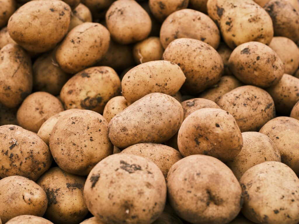 close up shot of fresh potatoes