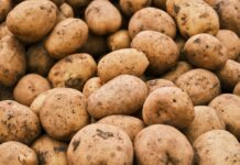 close up shot of fresh potatoes