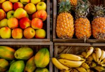 Frutas ficaram cerca de 3% mais baratas em fevereiro four trays of varieties of fruits