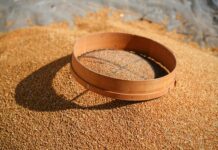 traditional grain sifting on a sunny day