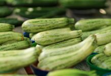 Banana e abobrinha estão entre os itens que encareceram no atacado esta semana close up of fresh zucchini display in market