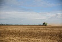 soybean harvesting with tractor in brazil