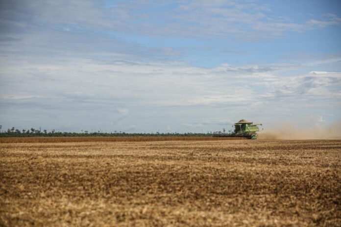 pexels-photo-31173018 soybean harvesting with tractor in brazil