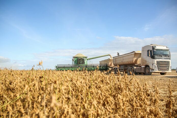 soybean harvesting with combine and truck in brazil