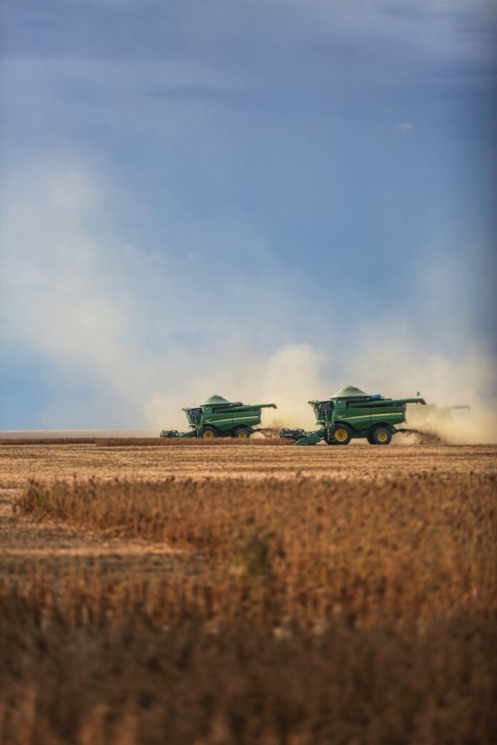 pexels-photo-31226933 harvesters working in a soybean field