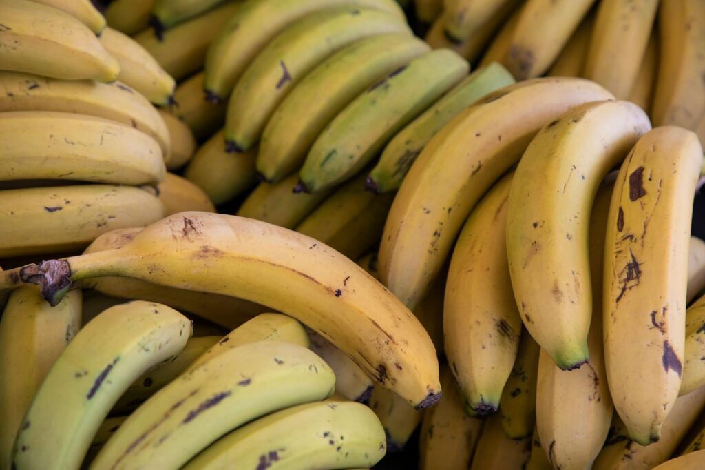 bunch of banana fruits