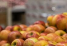 Banana, maçã e ovos brancos estão entre os itens que encareceram no atacado esta semana red apple fruit lot on display