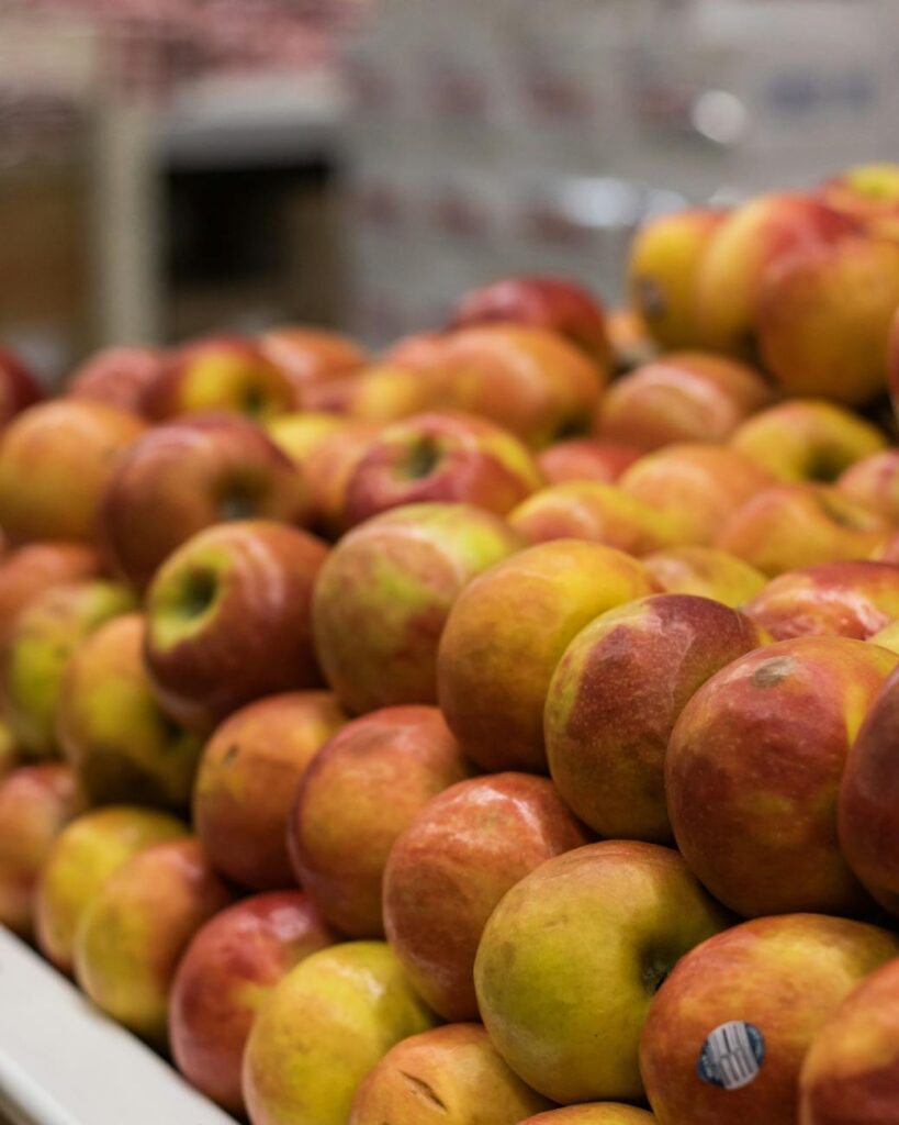 red apple fruit lot on display