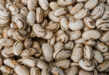 close up shot of a pinto beans