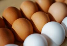 white and brown eggs in close up photography