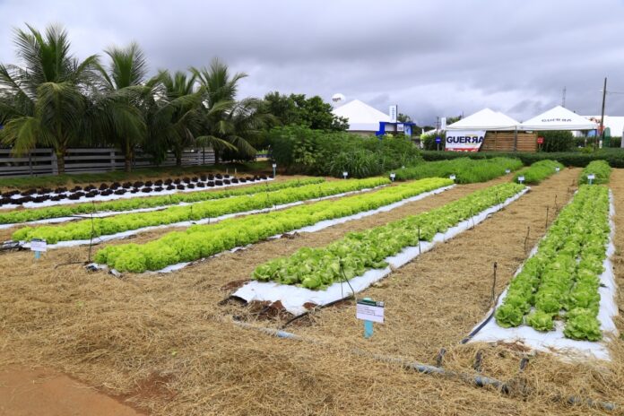 pref_lrv - 2026-03-21T100128.556