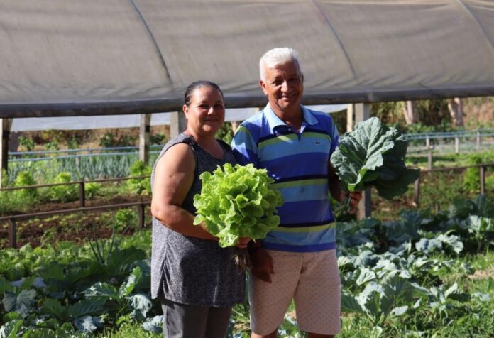 08 Programa REM MT disponibiliza R$ 10 mi para fortalecer a bioeconomia e povos tradicionais