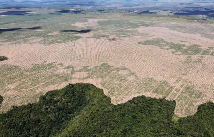 29399454651_e6fed033d7_k (1)