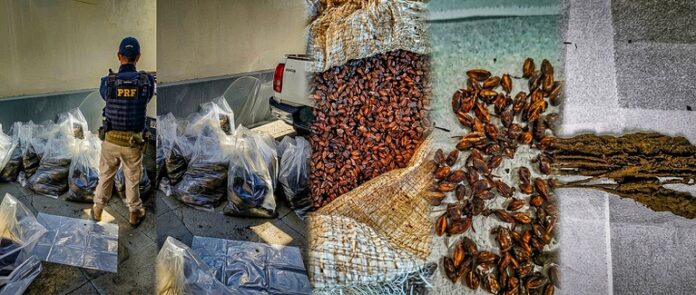 46d1ce93-472a-4c82-996b-d90a435bf58a