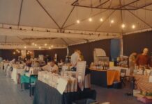 Em Mato Grosso, 3ª edição da GreenFarm evidencia potencial da agricultura familiar