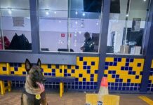 PRF apreende droga em bagagem de passageira durante fiscalização na BR-364 em Rondonópolis