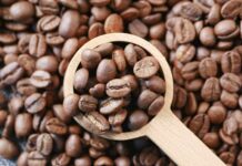 brown coffee beans on brown wooden spoon