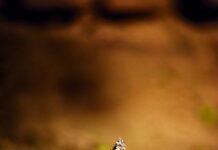 a cigarette stick on the ground