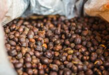 close of a bag of roasted coffee beans