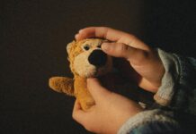 person holding brown plush toy