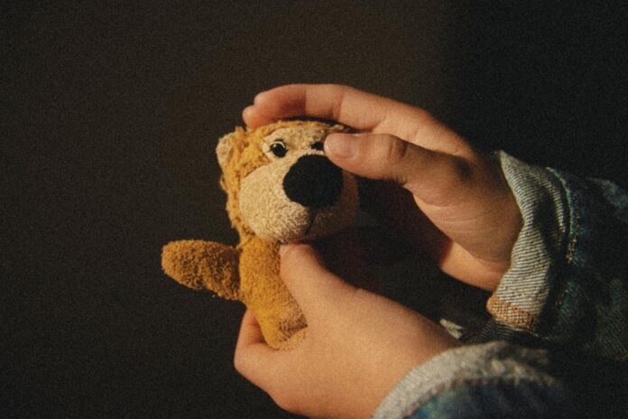 pexels-photo-1765758 person holding brown plush toy