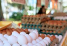 fresh eggs displayed at farmer s market