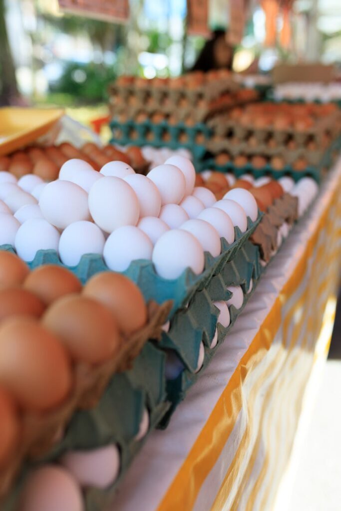 fresh eggs displayed at farmer s market