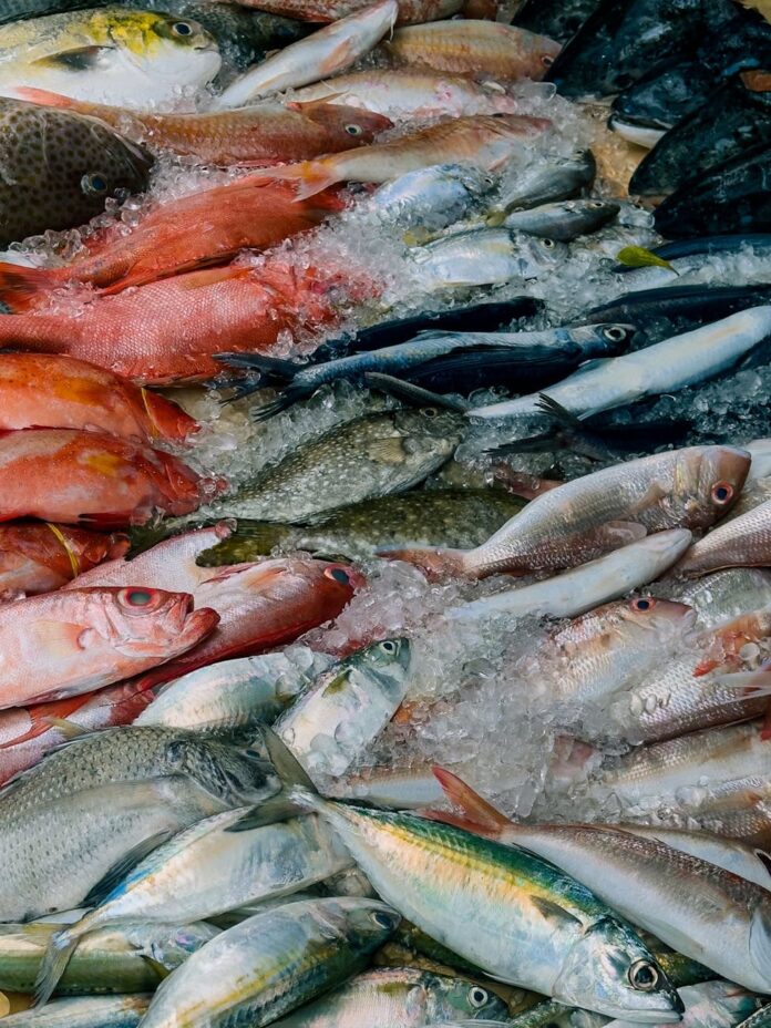 fresh fish variety on ice at ho chi minh market